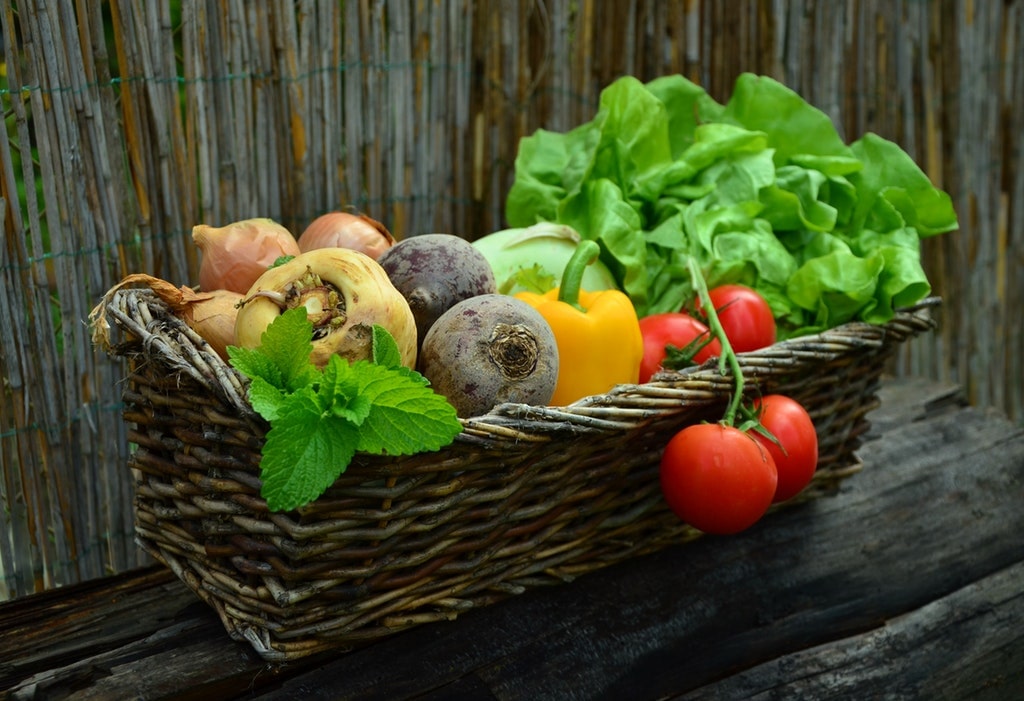 Ini Lho 9 Vitamin dan Mineral Penangkal Penyakit