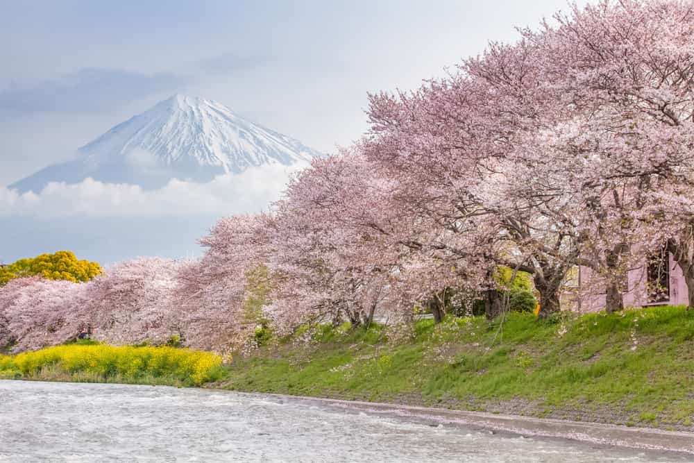 Destinasi Wajib Liburan ke Jepang